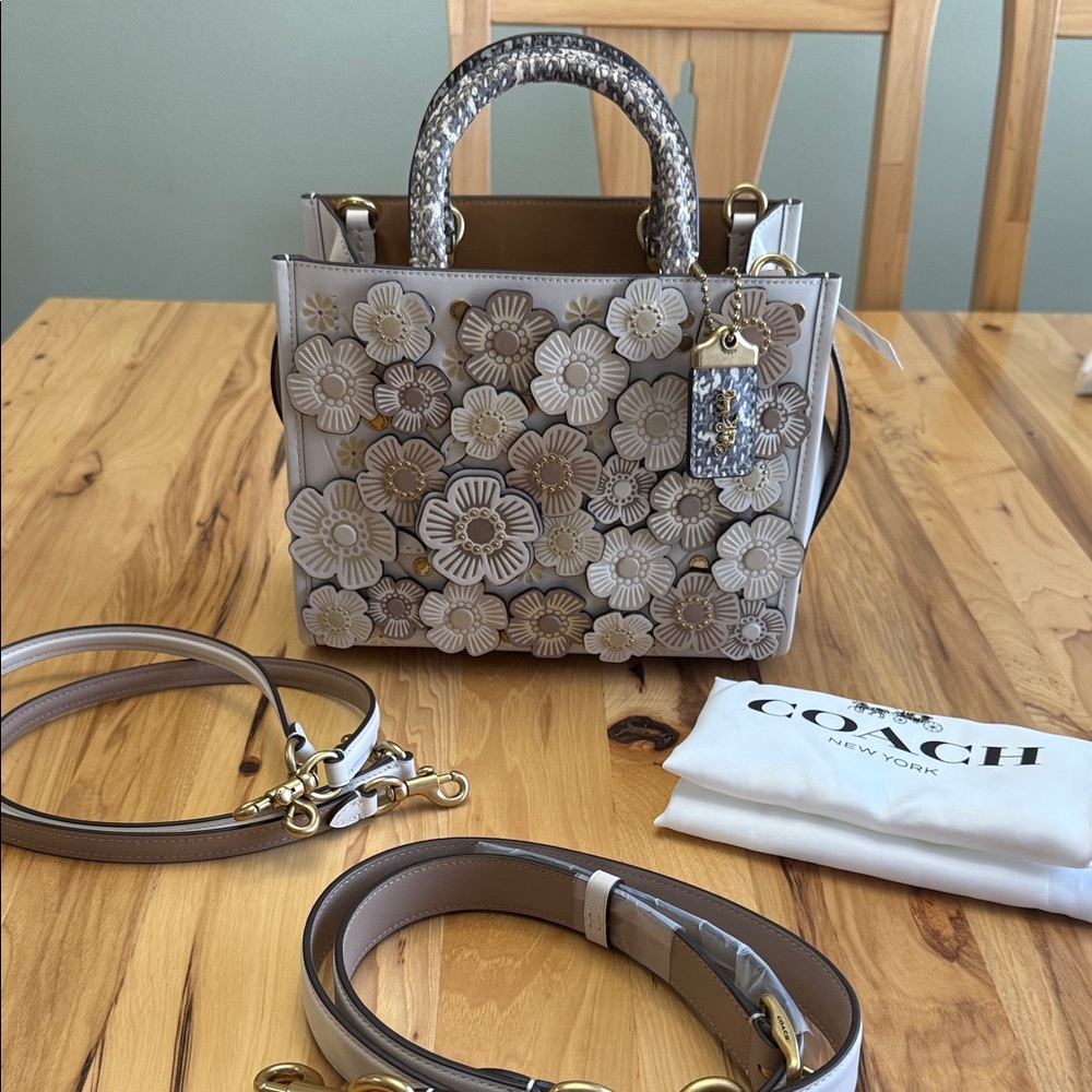 Rogue Bag 25 In Colorblock With Tea Rose And Snakeskin Detail NWT